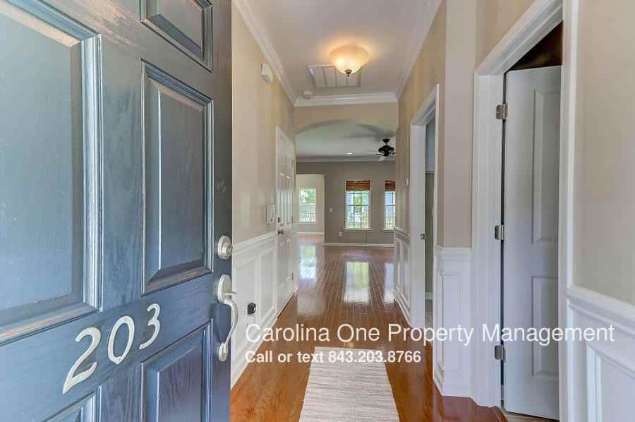 203 Nelliefield Creek Dr - Photo 3 of 48