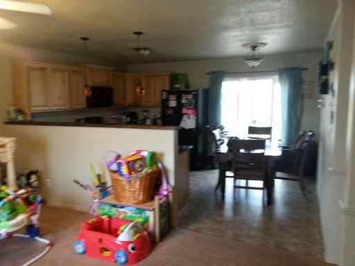 3116 Dry Fork Way - Photo 3 of 12