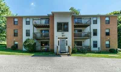 Chestnut Hill - Photo 3 of 50