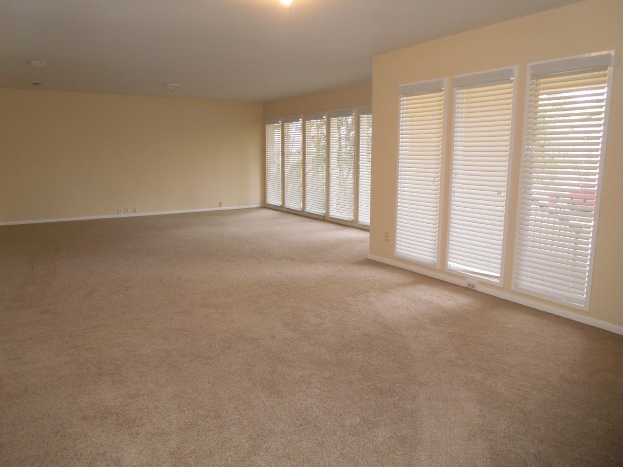 1303 Northlake Dr - Photo 3 of 24