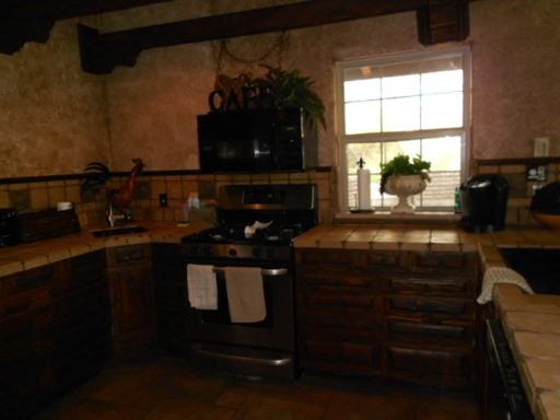 844 E Canyon Creek Ln - Photo 3 of 9