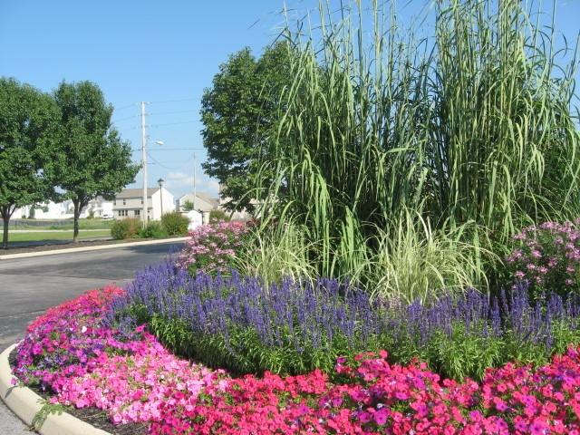 Charter Club - Photo 3 of 6