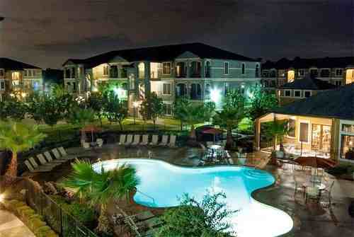 541 Farm to Market Rd 1488 #423