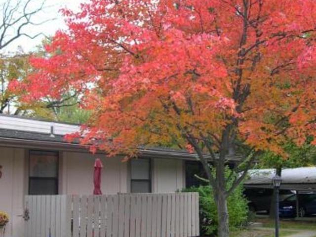 Slate Run Apartments - Photo 3 of 6