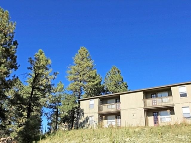 Forest Ridge - Photo 3 of 6