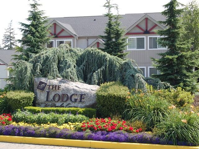 The Lodge at Peasley Canyon - Photo 3 of 13