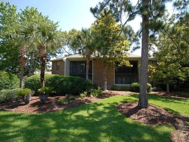 Anatole - Photo 3 of 6