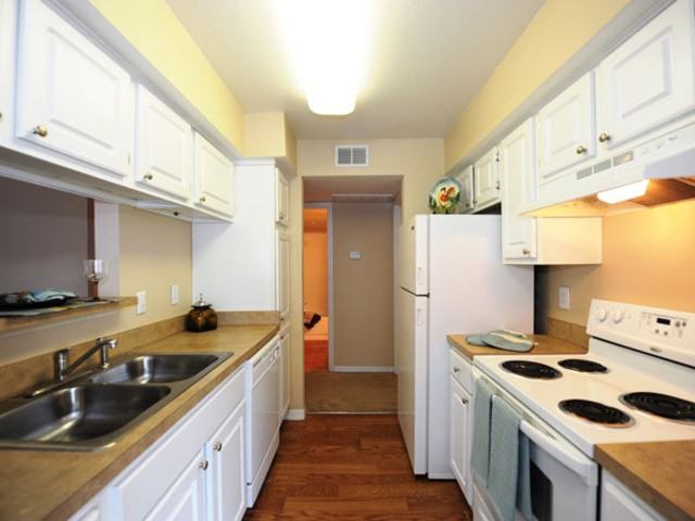 Anatole - Photo 2 of 6