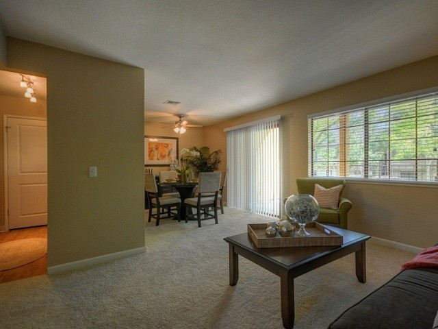 Canyon Woods - Photo 2 of 24