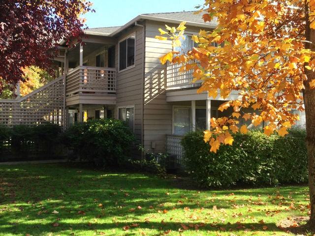 Poplar Village - Photo 2 of 6