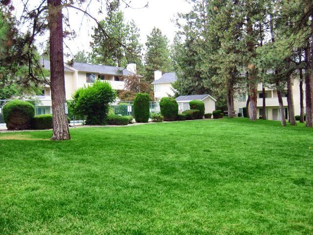 Forest Park Apartments - Photo 2 of 17