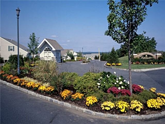 Fairfield Hills North At Farmingville - Photo 3 of 6