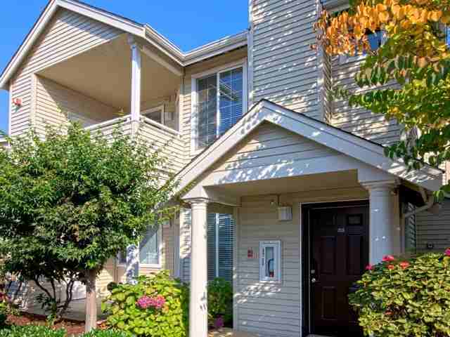 Springbrook - Photo 2 of 15