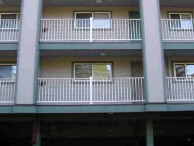 Arbor Heights - Photo 3 of 6