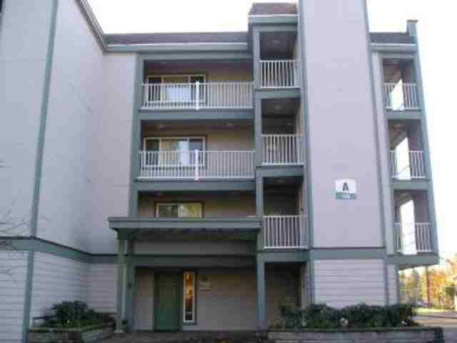 Arbor Heights - Photo 2 of 6