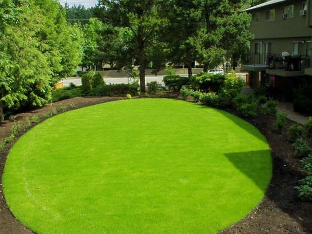 Tempo West - Photo 3 of 6