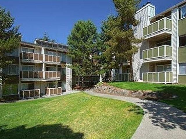 Foster Creek - Photo 3 of 7