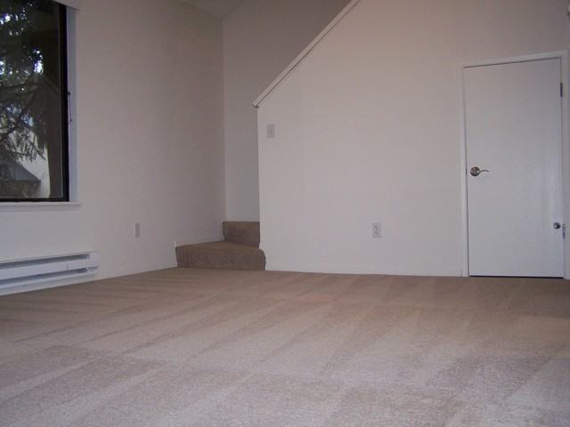 Cove East - Photo 3 of 42