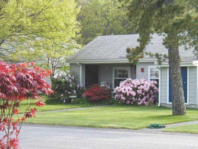 Pine Oaks Village III - Photo 3 of 3