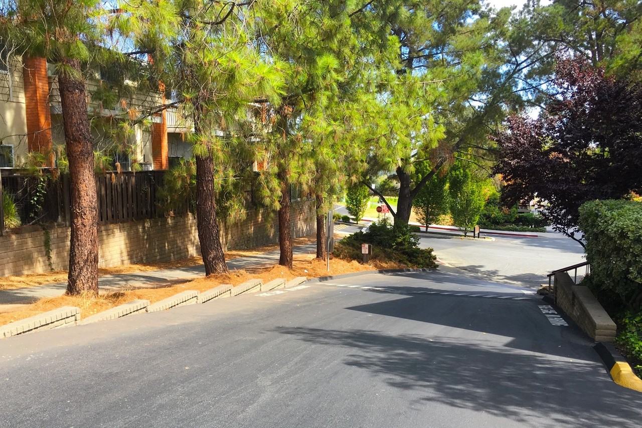 101 Walnut Ave - Photo 2 of 11