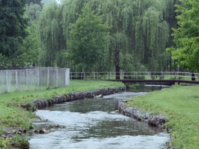 Linden Gardens - Photo 2 of 6