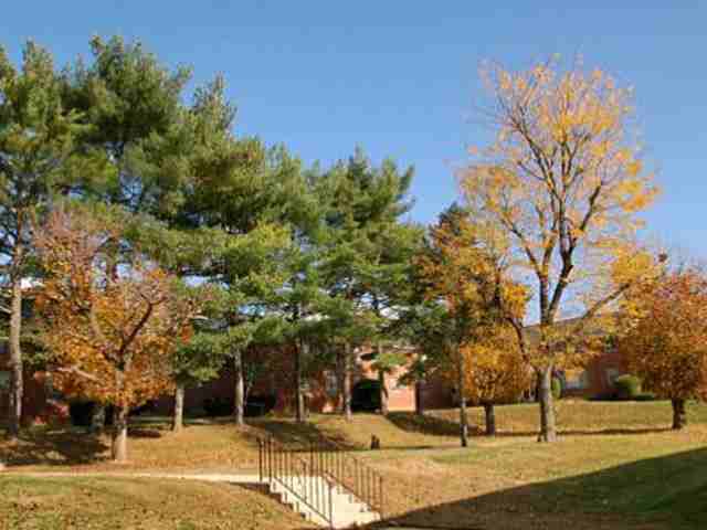 Linden Gardens - Photo 3 of 6