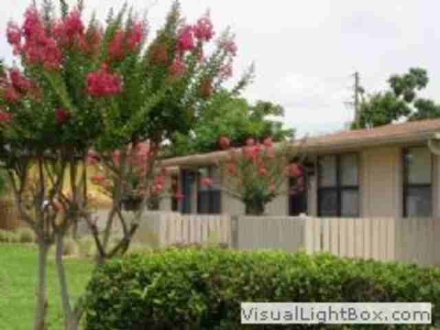 Countryside Manor - Photo 2 of 6