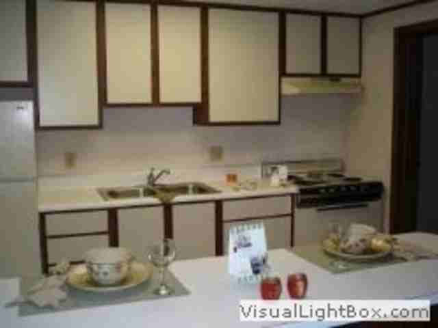 Countryside Manor - Photo 3 of 6