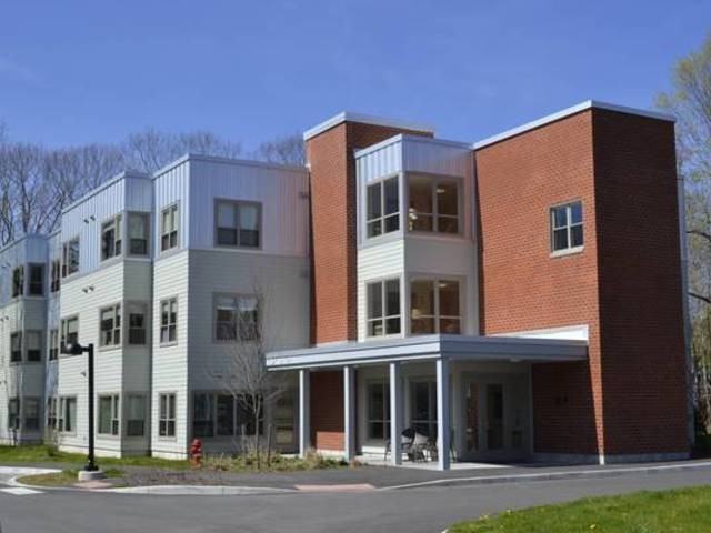 Oak Leaf 2 - Photo 3 of 6