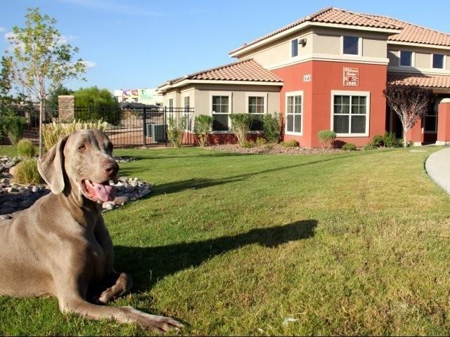 The Villas at Zaragosa Apartments 1640 N Zaragoza Rd, El Paso, TX 79936 Zumper