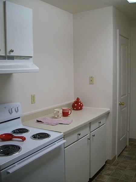 Willow Lake - Photo 2 of 7