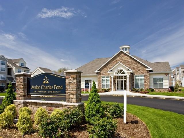 Avalon Charles Pond - Photo 3 of 6