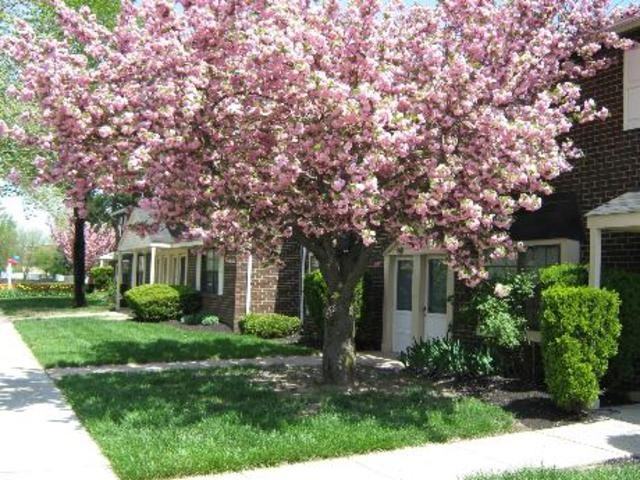 Lumberton - Photo 2 of 9