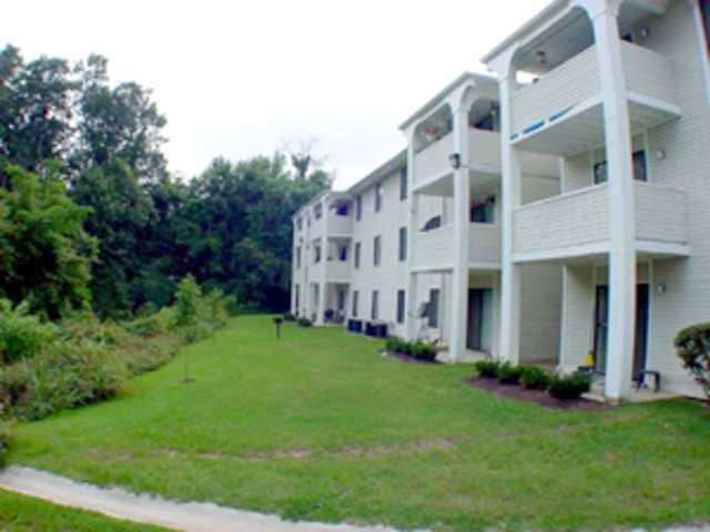 Starlight Apartments - Photo 3 of 6