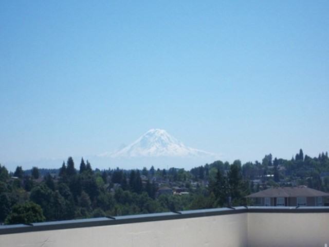 Mural - Photo 3 of 18