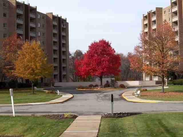 Laurel Village Apartments - Photo 3 of 9