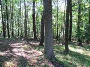 1992 Carribean Rd - Photo 2 of 16