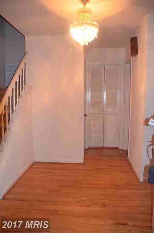 10805 Kirkwall Terrace - Photo 3 of 21