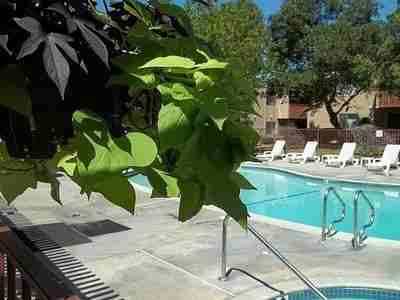 9072 Gramercy Drive - Photo 3 of 44