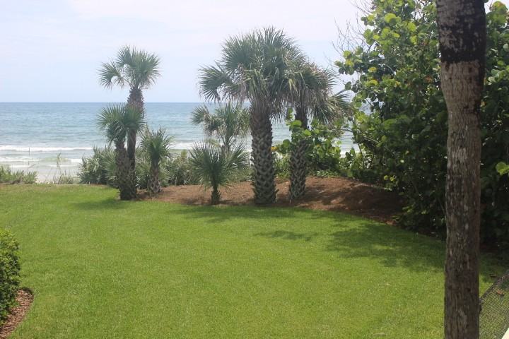 4811 S Atlantic Ave - Photo 2 of 23