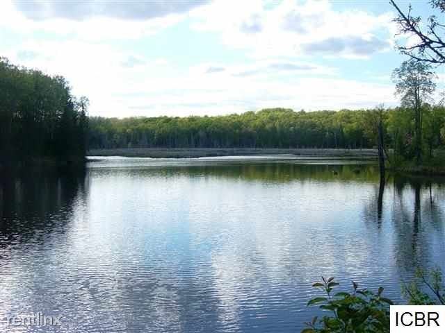 39187 Sissebakwet Shores Rd - Photo 2 of 7