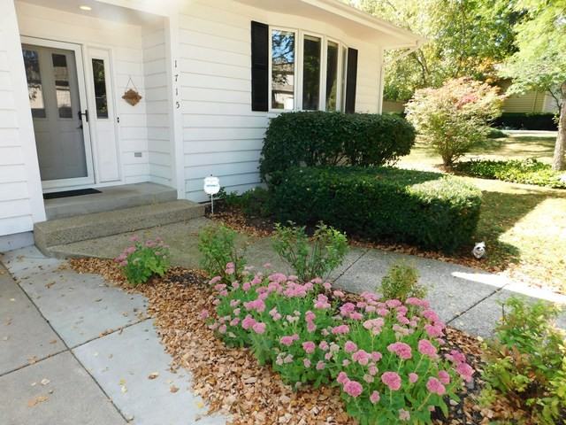 1715 Sundown Ln - Photo 2 of 29