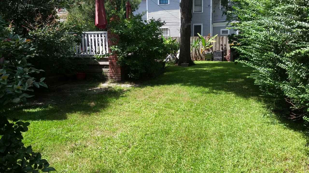 636 E 41st St - Photo 3 of 17