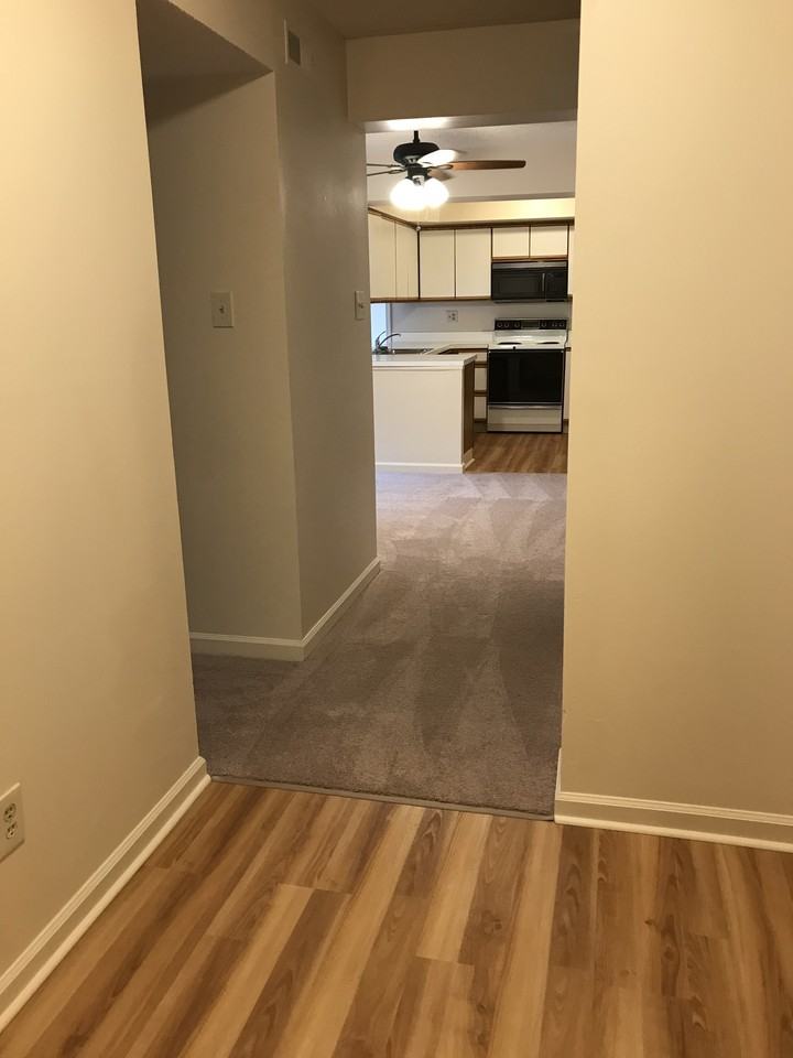 205 Deer Run - Photo 3 of 14