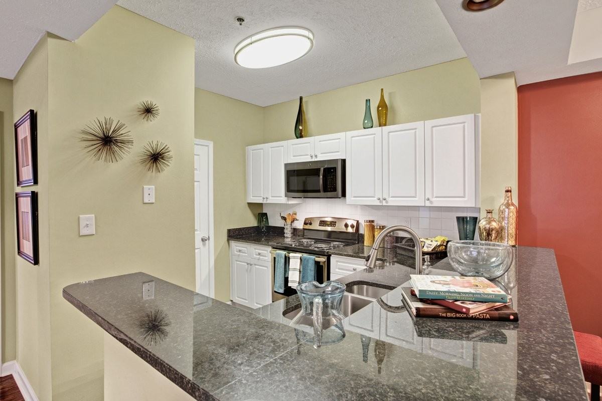 Avia at North Springs - Photo 3 of 50