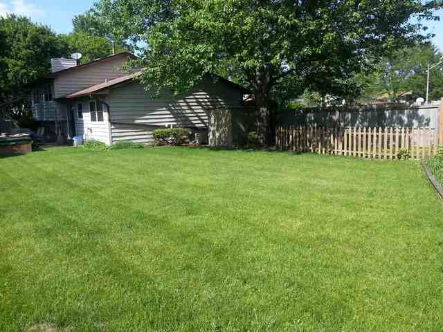 4458 Raven Ct - Photo 2 of 12