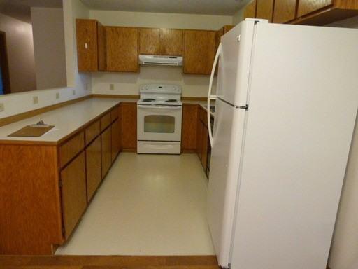 808 Nez Perce Dr - Photo 3 of 8