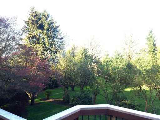 18902 Walling Cir - Photo 3 of 4