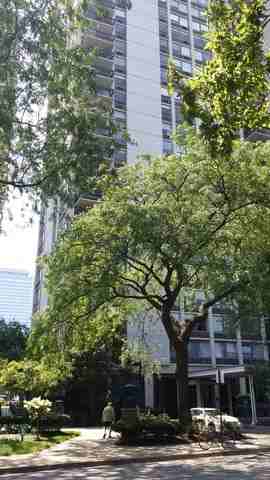 1360 N Sandburg Terrace #2002