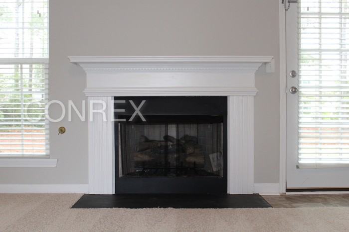 605 Harlequin Ct - Photo 3 of 17